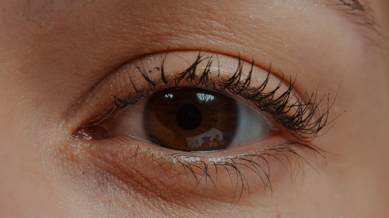The Architecture of Dense Brows: How Peptides Rebuild Sparse Eyebrows Naturally