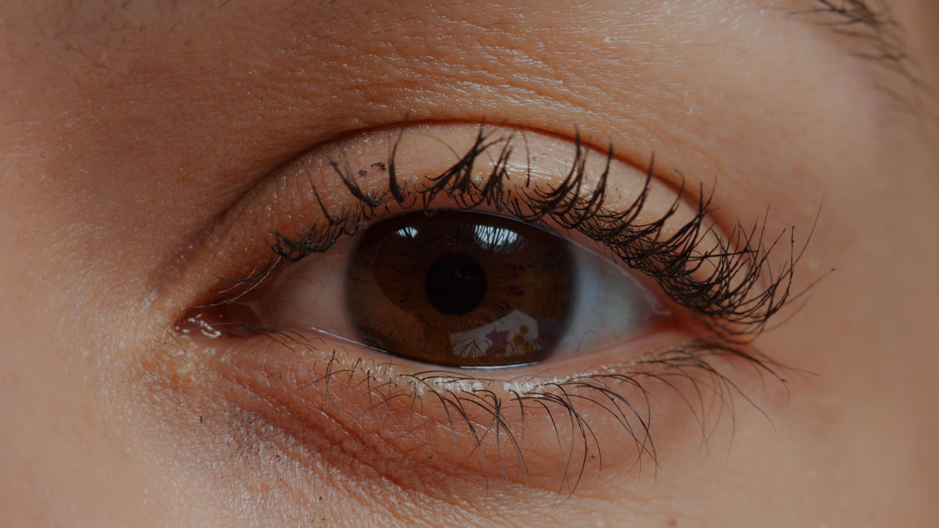 The Architecture of Dense Brows: How Peptides Rebuild Sparse Eyebrows Naturally